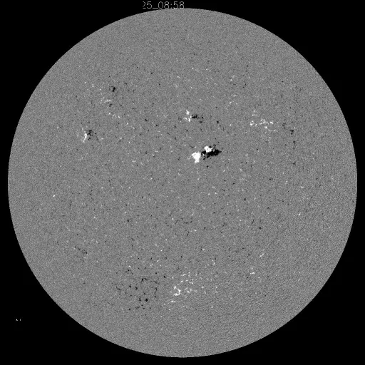 Solar Magnetic Fields