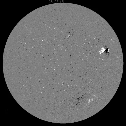 Solar Magnetic Fields