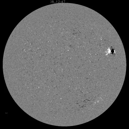 Solar Magnetic Fields