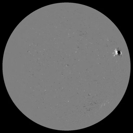 Solar Magnetic Fields