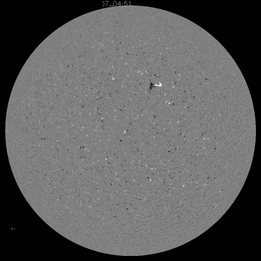 Solar Magnetic Fields