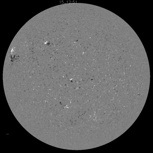 Solar Magnetic Fields