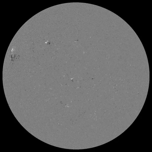Solar Magnetic Fields