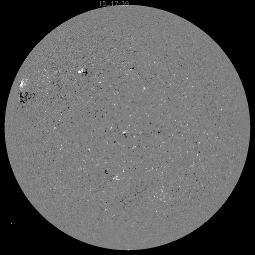 Solar Magnetic Fields