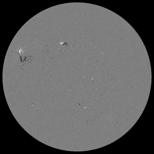 Solar Magnetic Fields