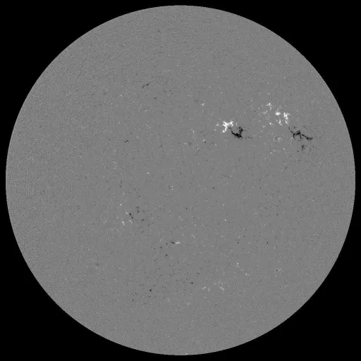 Solar Magnetic Fields