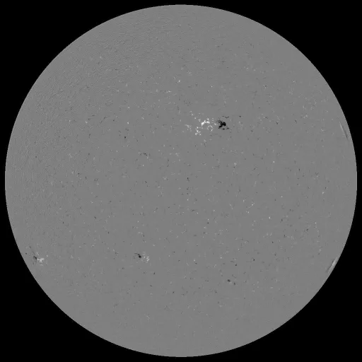 Solar Magnetic Fields