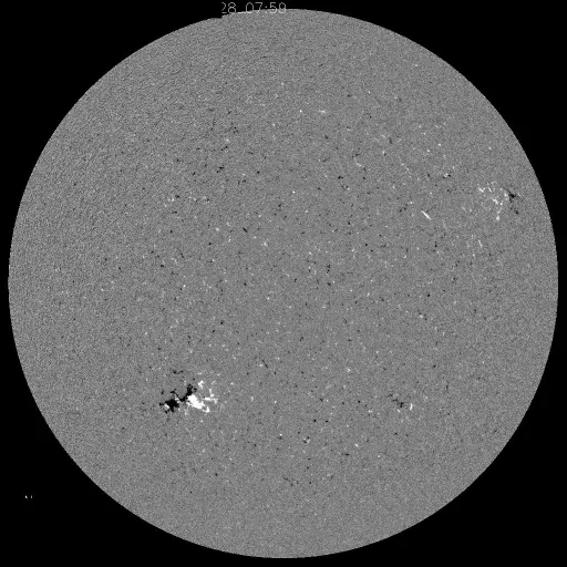 Solar Magnetic Fields