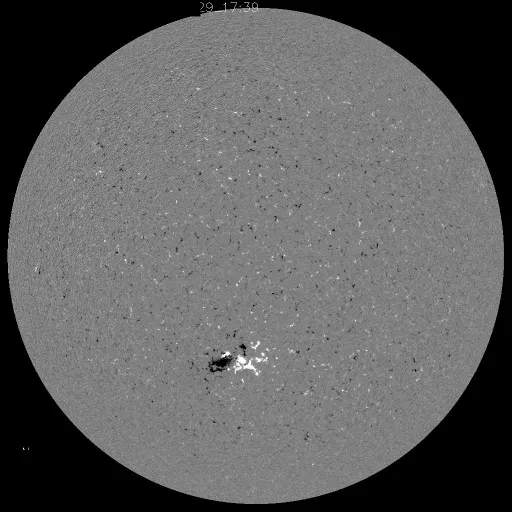 Solar Magnetic Fields