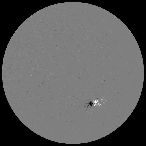 Solar Magnetic Fields