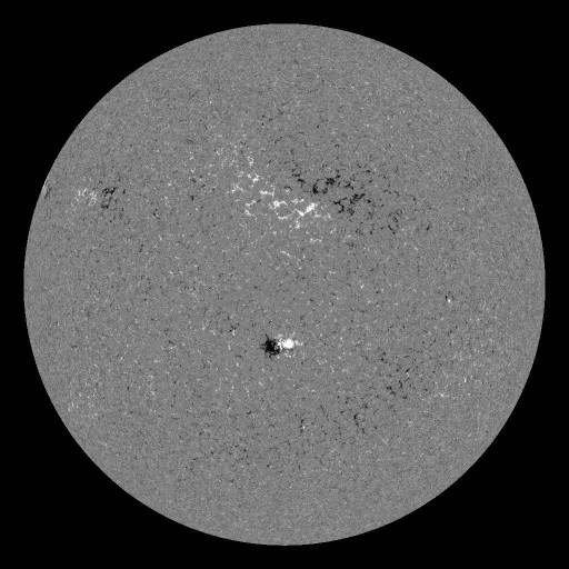 Solar Magnetic Fields