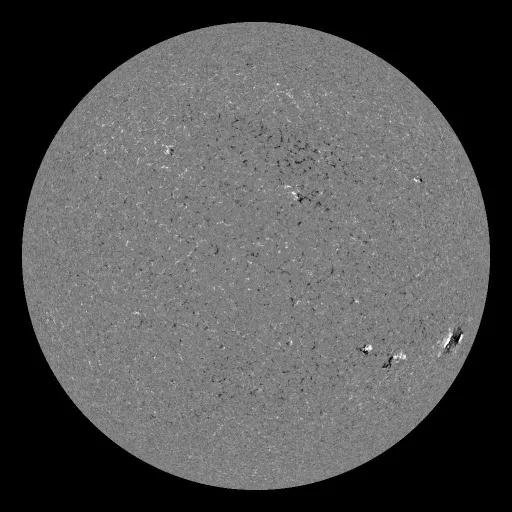 Solar Magnetic Fields