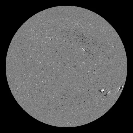 Solar Magnetic Fields