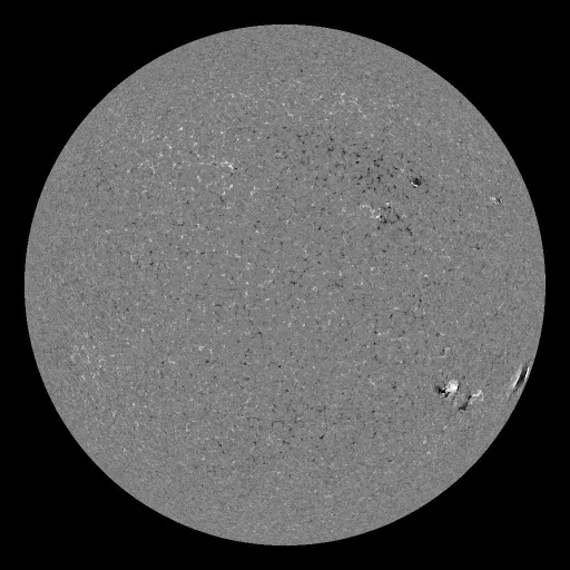 Solar Magnetic Fields
