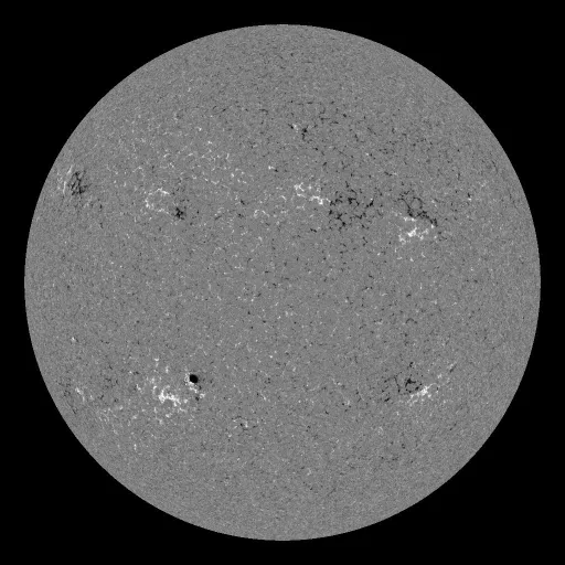 Solar Magnetic Fields