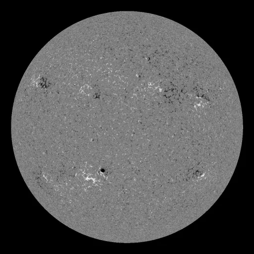 Solar Magnetic Fields