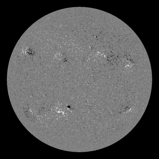 Solar Magnetic Fields