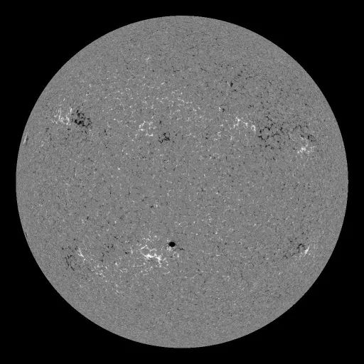 Solar Magnetic Fields