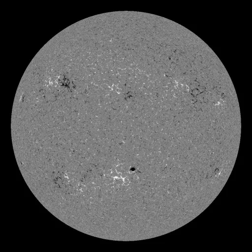 Solar Magnetic Fields