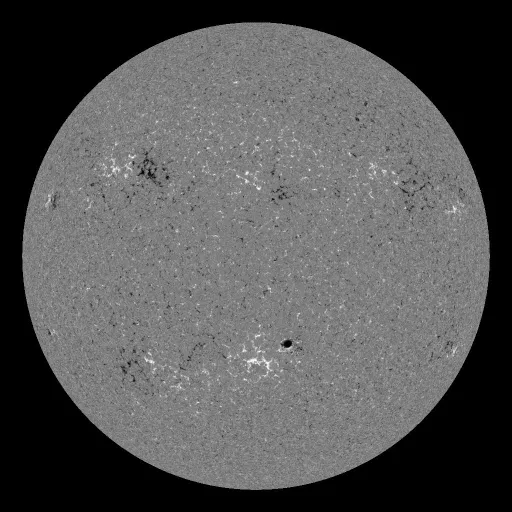 Solar Magnetic Fields