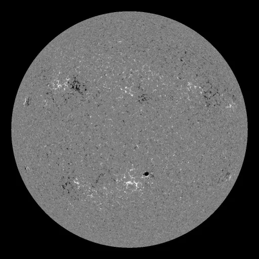Solar Magnetic Fields