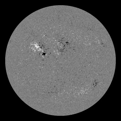 Solar Magnetic Fields