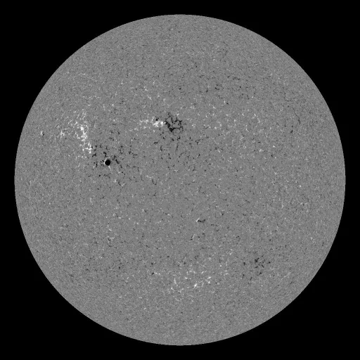 Solar Magnetic Fields