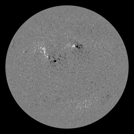 Solar Magnetic Fields