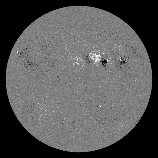 Solar Magnetic Fields