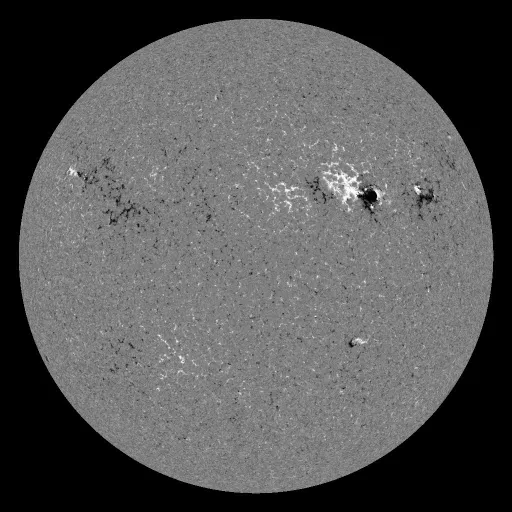 Solar Magnetic Fields