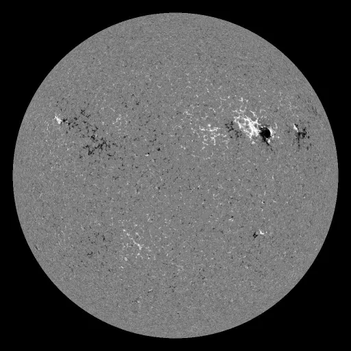 Solar Magnetic Fields