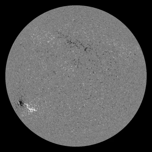 Solar Magnetic Fields