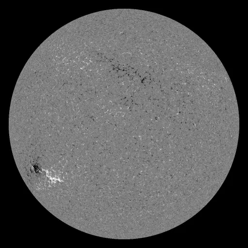 Solar Magnetic Fields