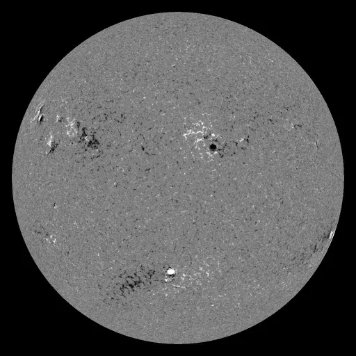 Solar Magnetic Fields
