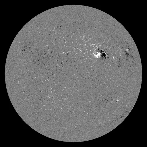 Solar Magnetic Fields