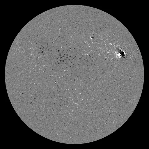 Solar Magnetic Fields