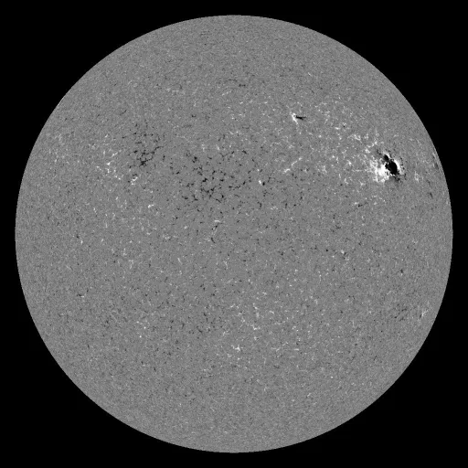 Solar Magnetic Fields