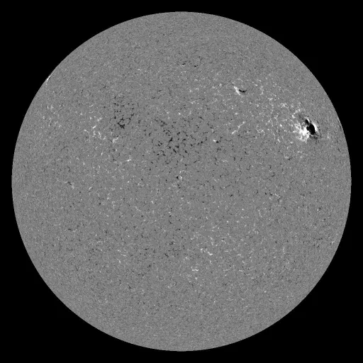 Solar Magnetic Fields
