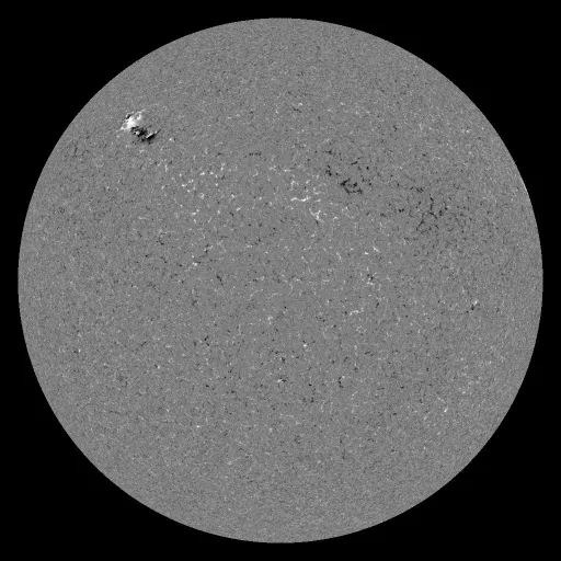 Solar Magnetic Fields