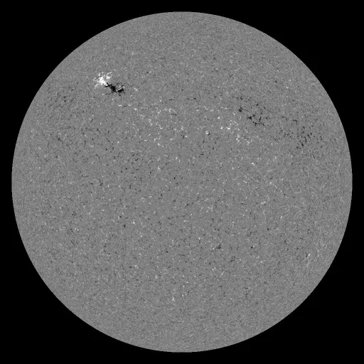 Solar Magnetic Fields