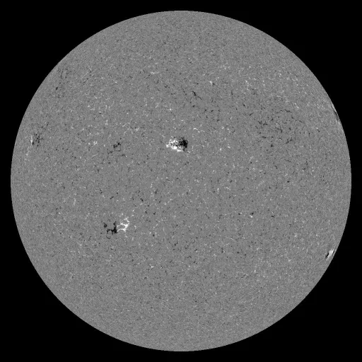 Solar Magnetic Fields