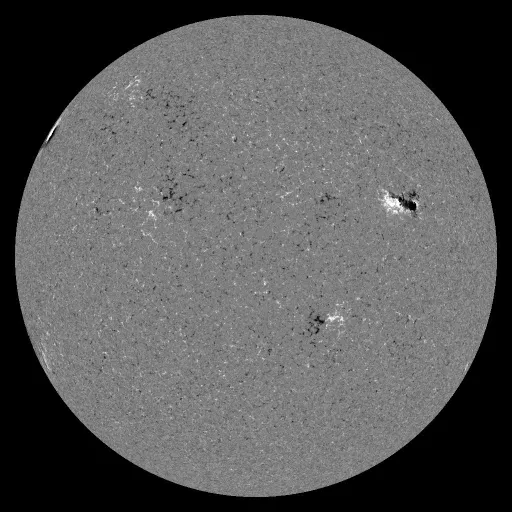Solar Magnetic Fields