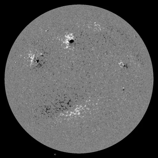 Solar Magnetic Fields