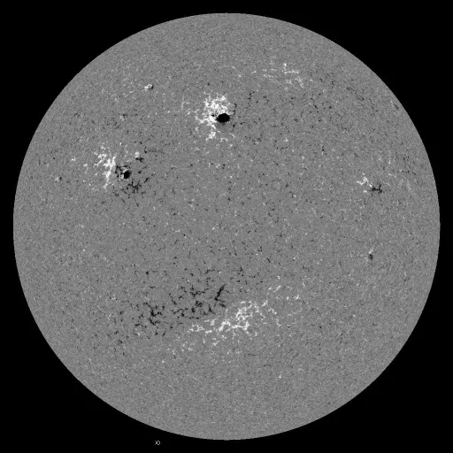 Solar Magnetic Fields