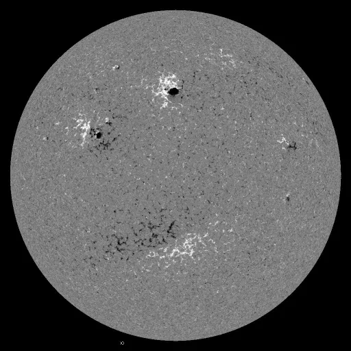 Solar Magnetic Fields