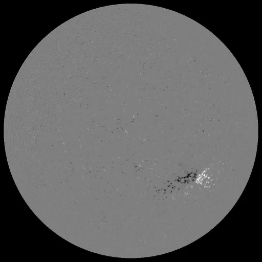 Solar Magnetic Fields