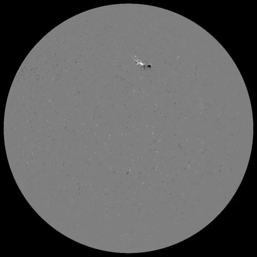 Solar Magnetic Fields
