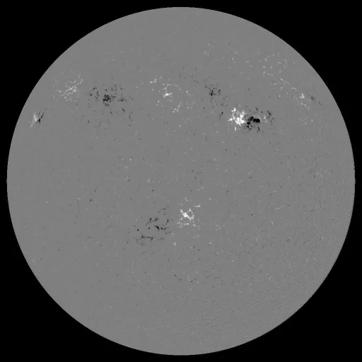 Solar Magnetic Fields