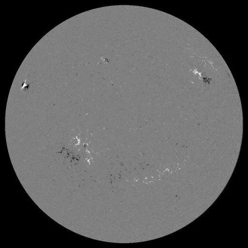 Solar Magnetic Fields