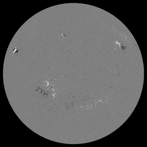 Solar Magnetic Fields